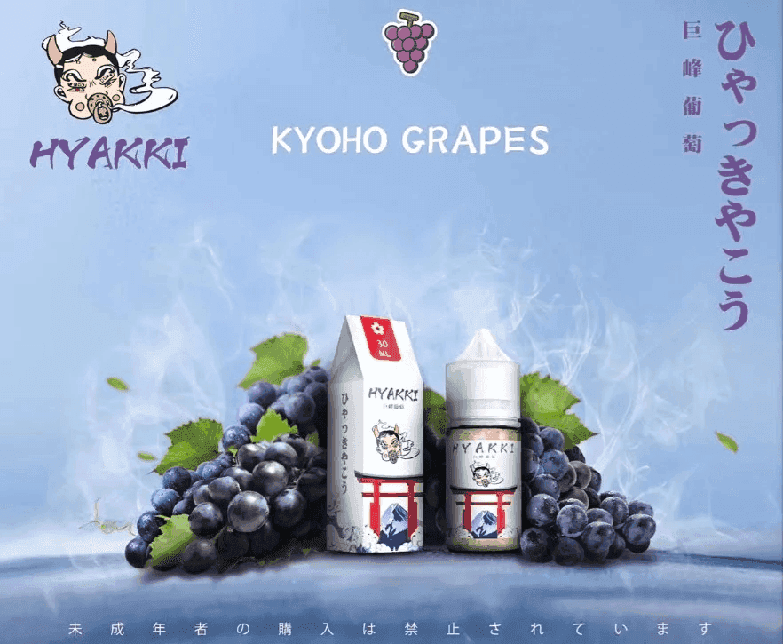 HYAKKI哈亞齊電子煙日系進口小煙油30ML:圖片 5